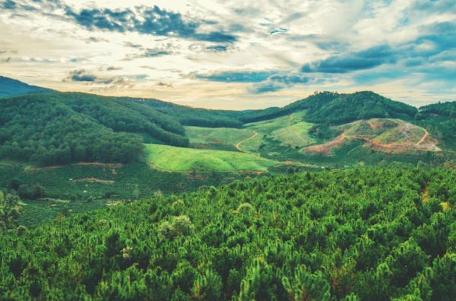 Cảnh núi rừng bát ngát tạo cảm giác thư giãn tuyệt đối