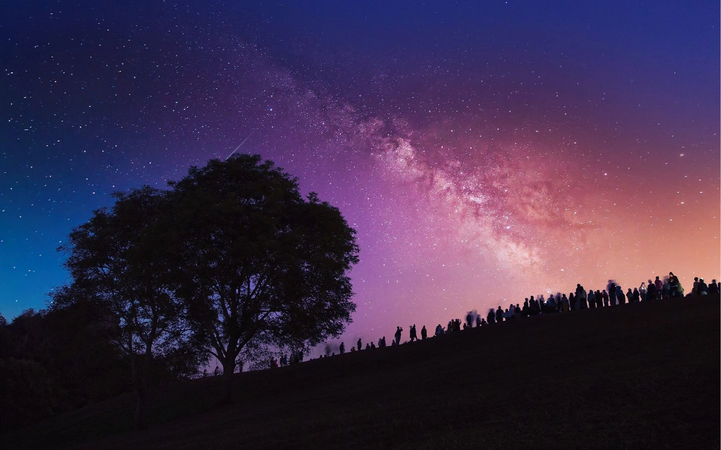 Cây cô đơn ôm trọn thiên hà