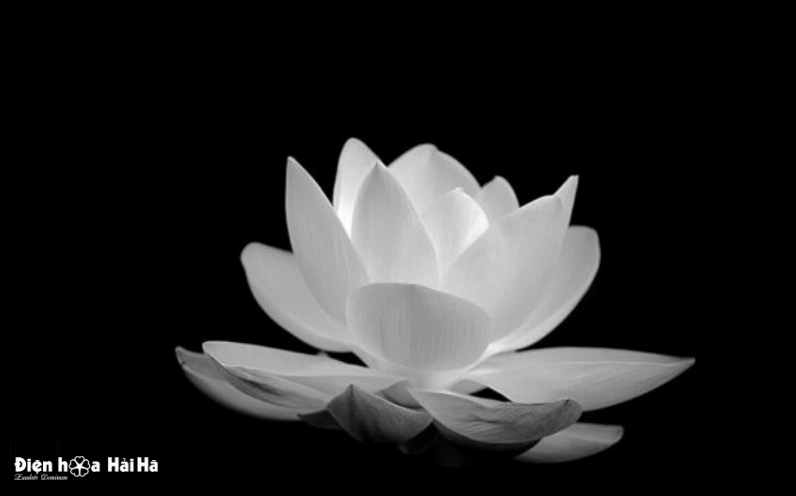 Hình ảnh đám tang buồn nỗi nhớ khắc sâu