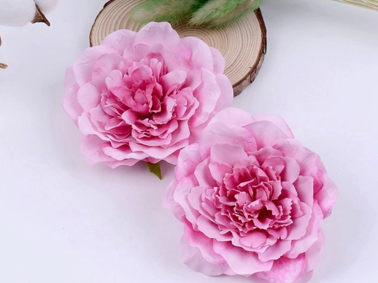 Hình ảnh hoa mẫu đơn đẹp nhất rạng rỡ