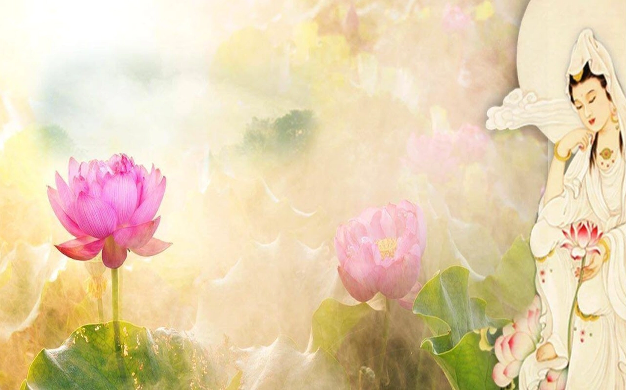 Hình ảnh hoa sen PowerPoint rực rỡ