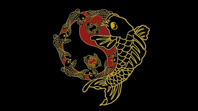 Hình nền cá chép hoá rồng màu tối huyền bí