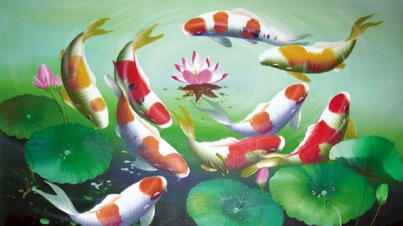 Hình nền cá chép hoa sen nghệ thuật