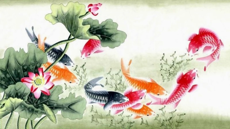 Hình nền cá chép hoa sen sinh động