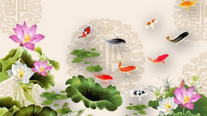 Hình nền cá chép hoa sen số 1