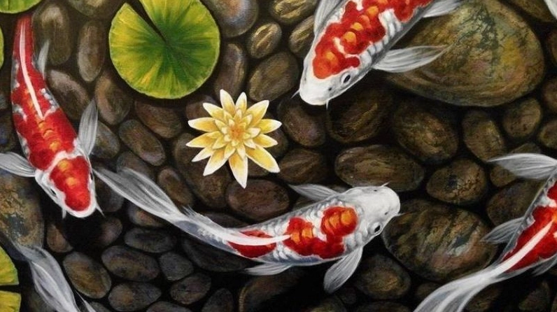 Hình nền cá chép hoa sen thanh tao