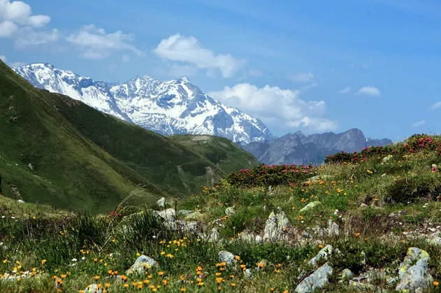 Hình nền Cảnh quan thung lũng hoa 2K