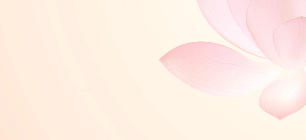 Hình nền cánh sen PowerPoint mềm mại