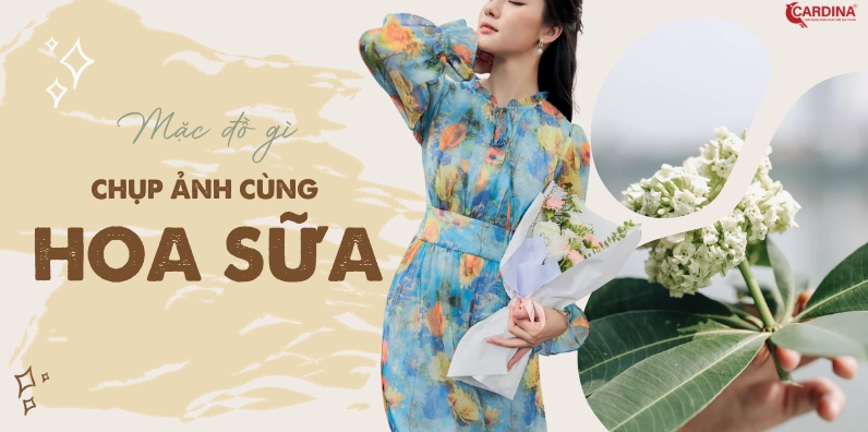 Hình nền chụp ảnh với hoa sữa trên con đường Hà Nội