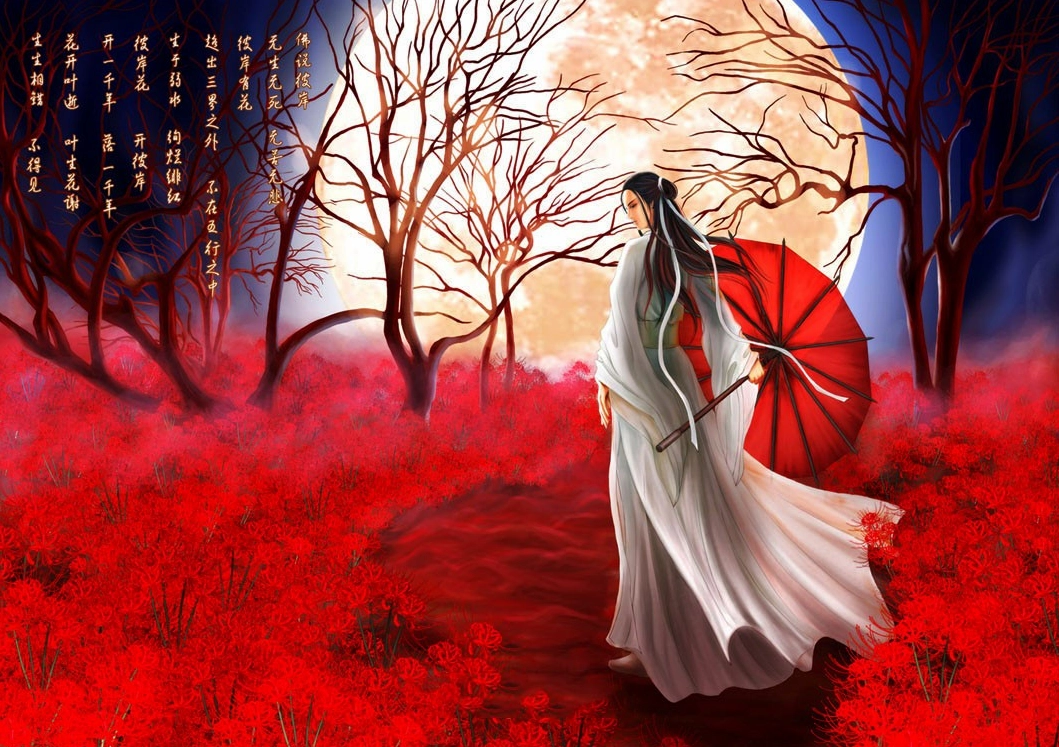 Hình nền cổ trang hoa bỉ ngạn 3D ánh sáng gợi chuyện nền cổ điển