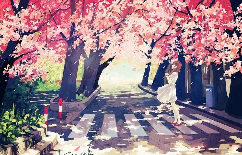 Hình nền hoa anh đào rơi ấn tượng