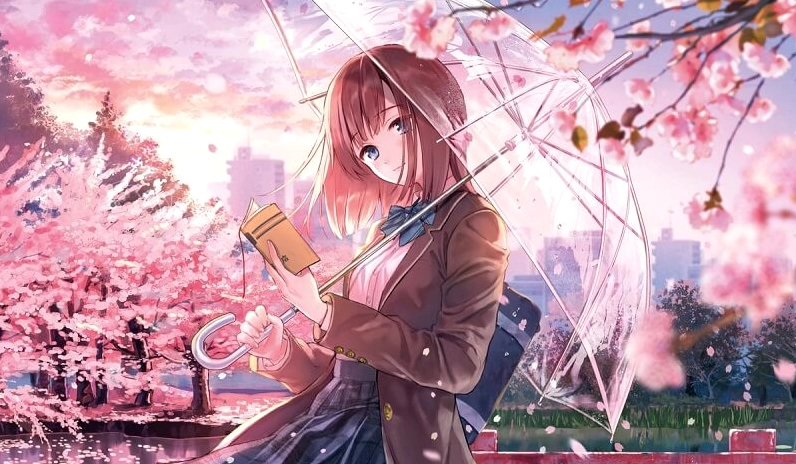 Hình nền hoa anh đào rơi cực sắc nét