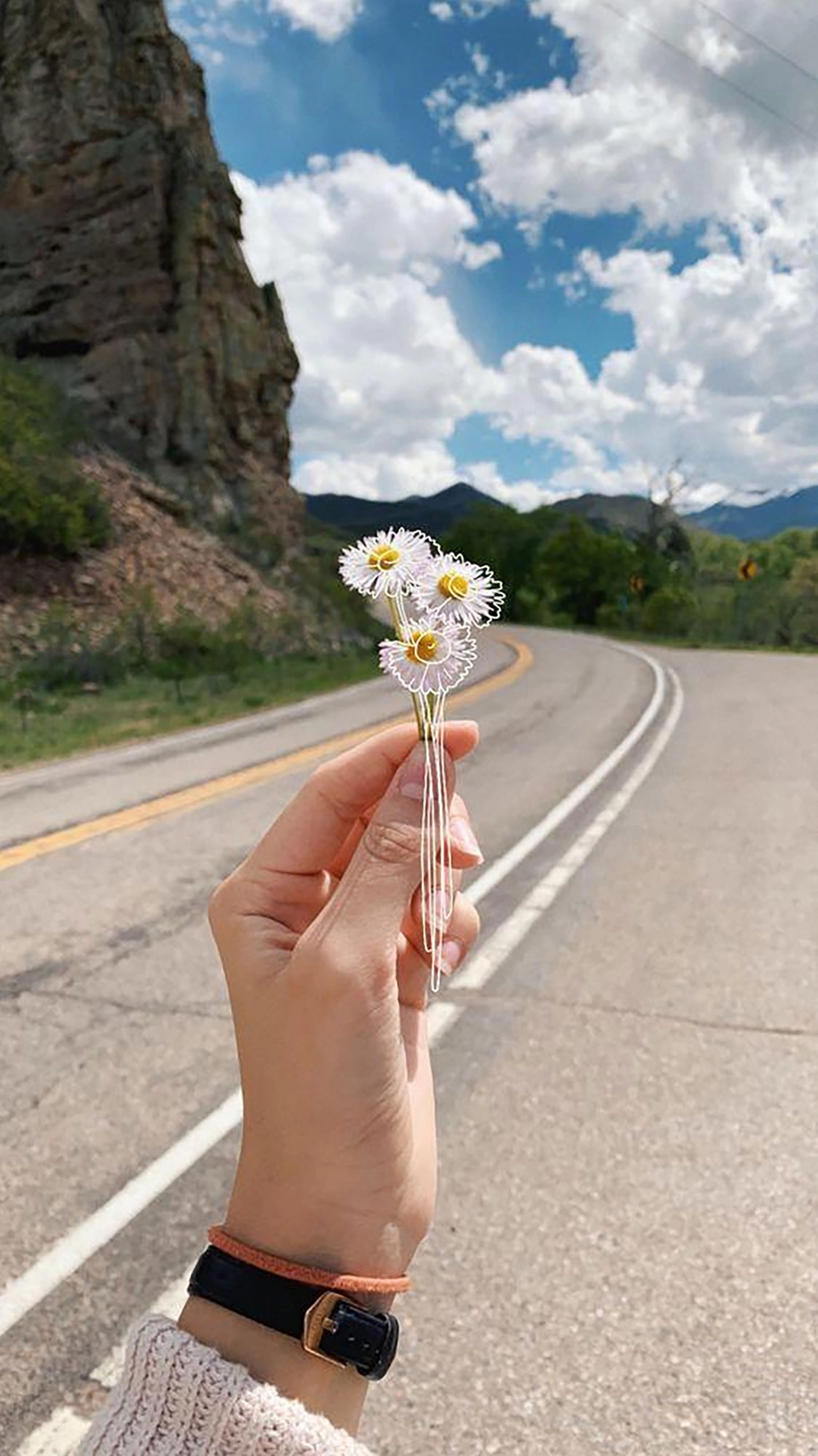 Hình nền hoa cúc cho điện thoại dễ thương