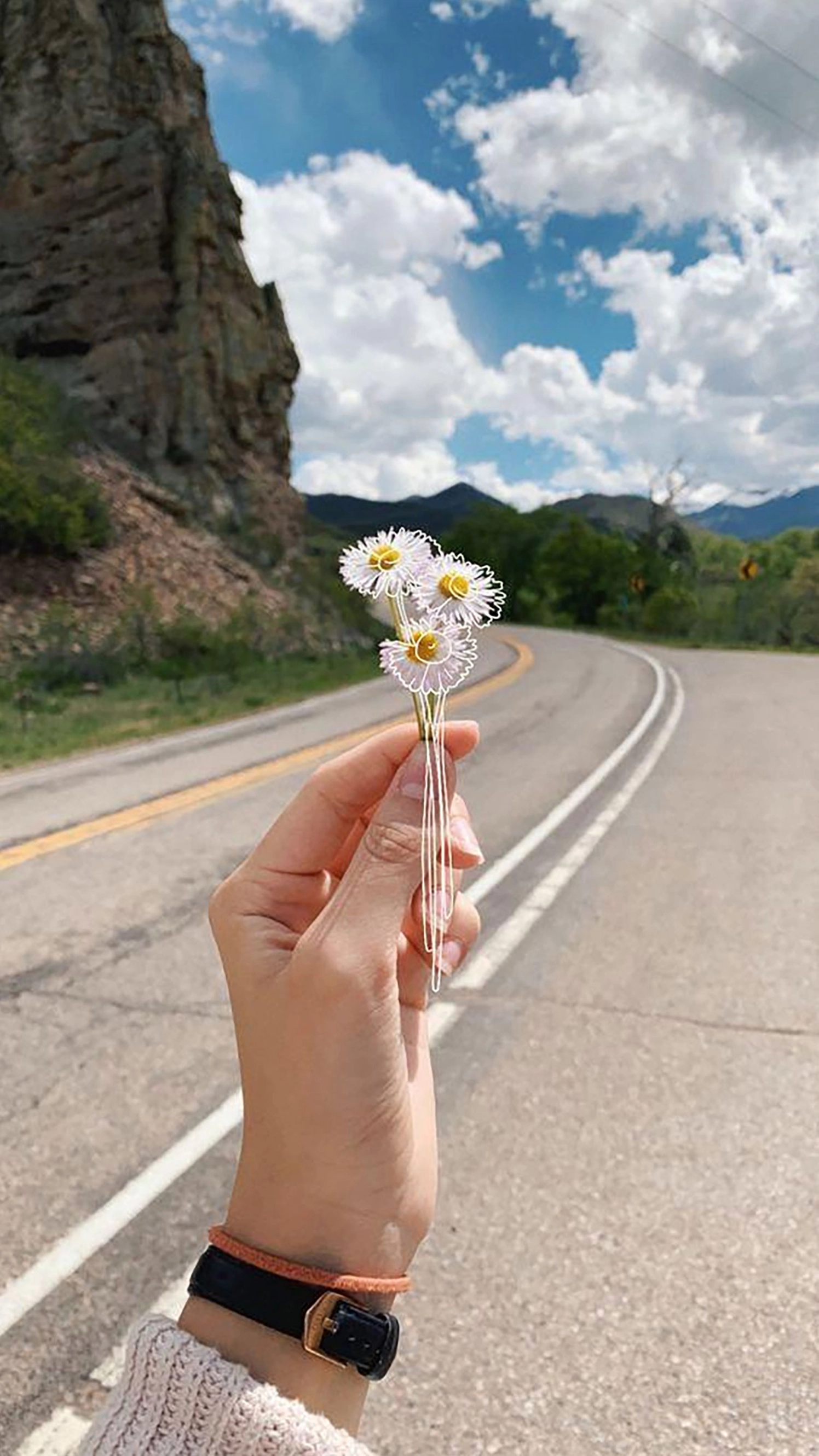 hinh-nen-hoa-cuc-cho-dien-thoai-de-thuong