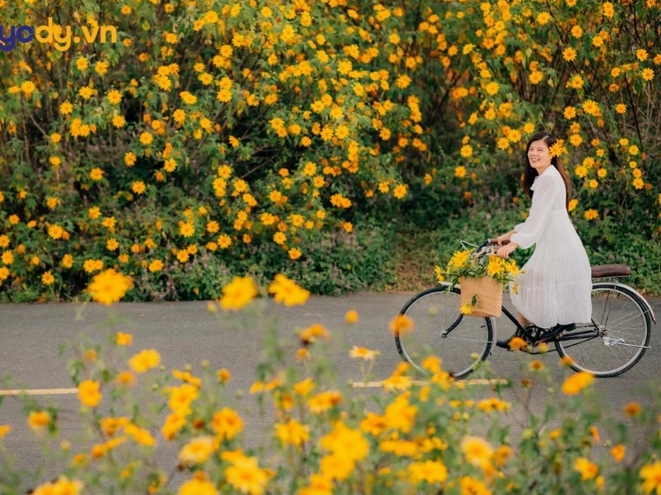 hinh nen hoa da quy đẹp lãng mạn