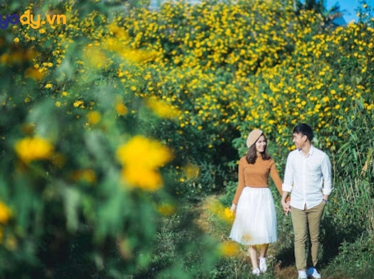 hinh nen hoa da quy góc nhìn rộng