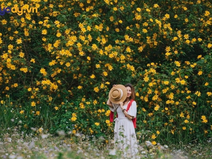 hinh nen hoa da quy tỏa nắng