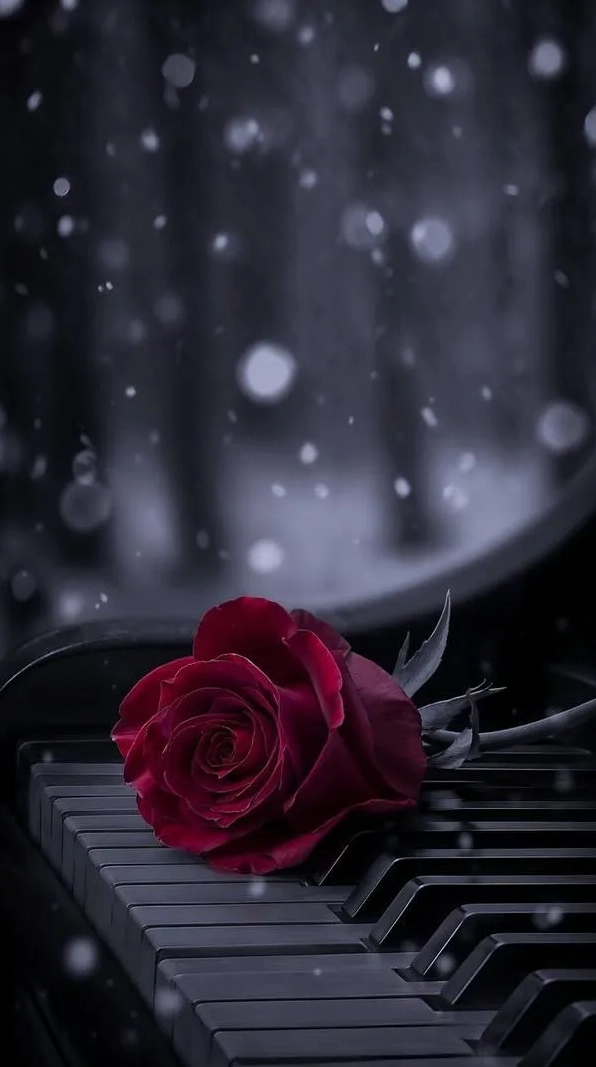 Hình nền hoa hồng 3d đỏ rượu ánh viền nhẹ