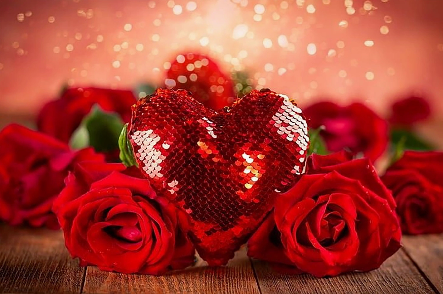 Hình nền hoa hồng đỏ siêu đẹp cho màn hình PC