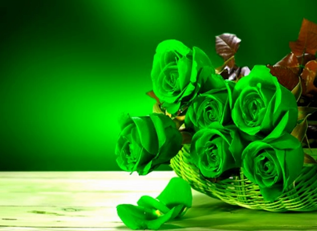 Hình nền hoa hồng xanh lá cây mang lại cảm giác may mắn và hạnh phúc