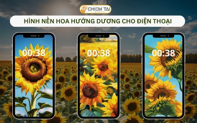 Hình nền hoa hướng dương cho điện thoại sắc nét