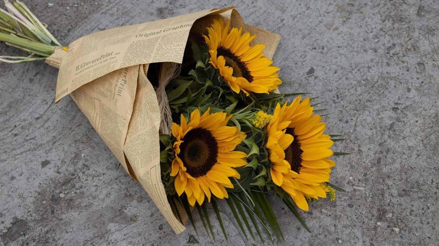 Hình nền hoa hướng dương dành cho máy tính