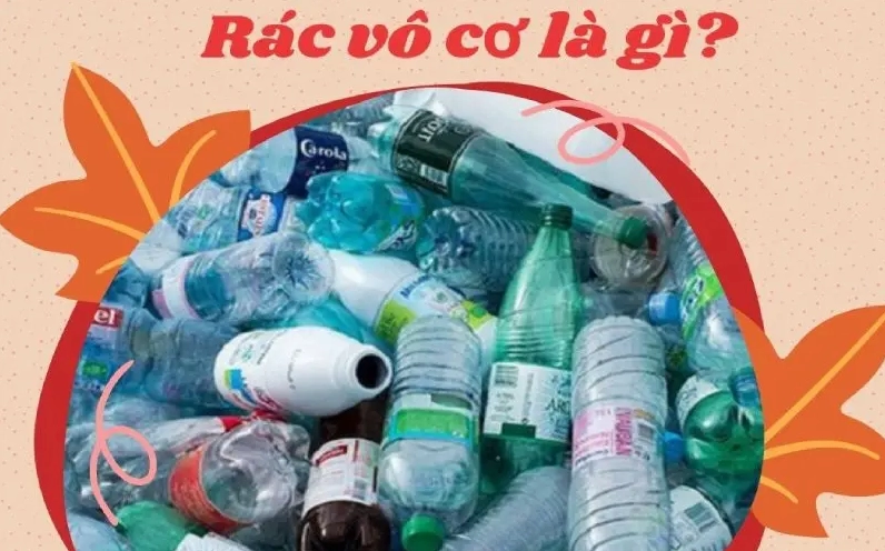 Hình nền hoa leo duyên dáng khoe sắc