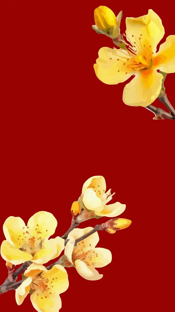 Hình nền hoa mai Tết cho điện thoại cực đẹp
