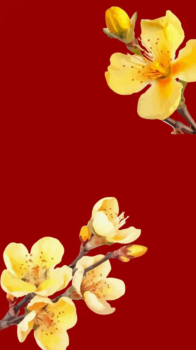 Hình nền hoa mai Tết cho điện thoại rực rỡ