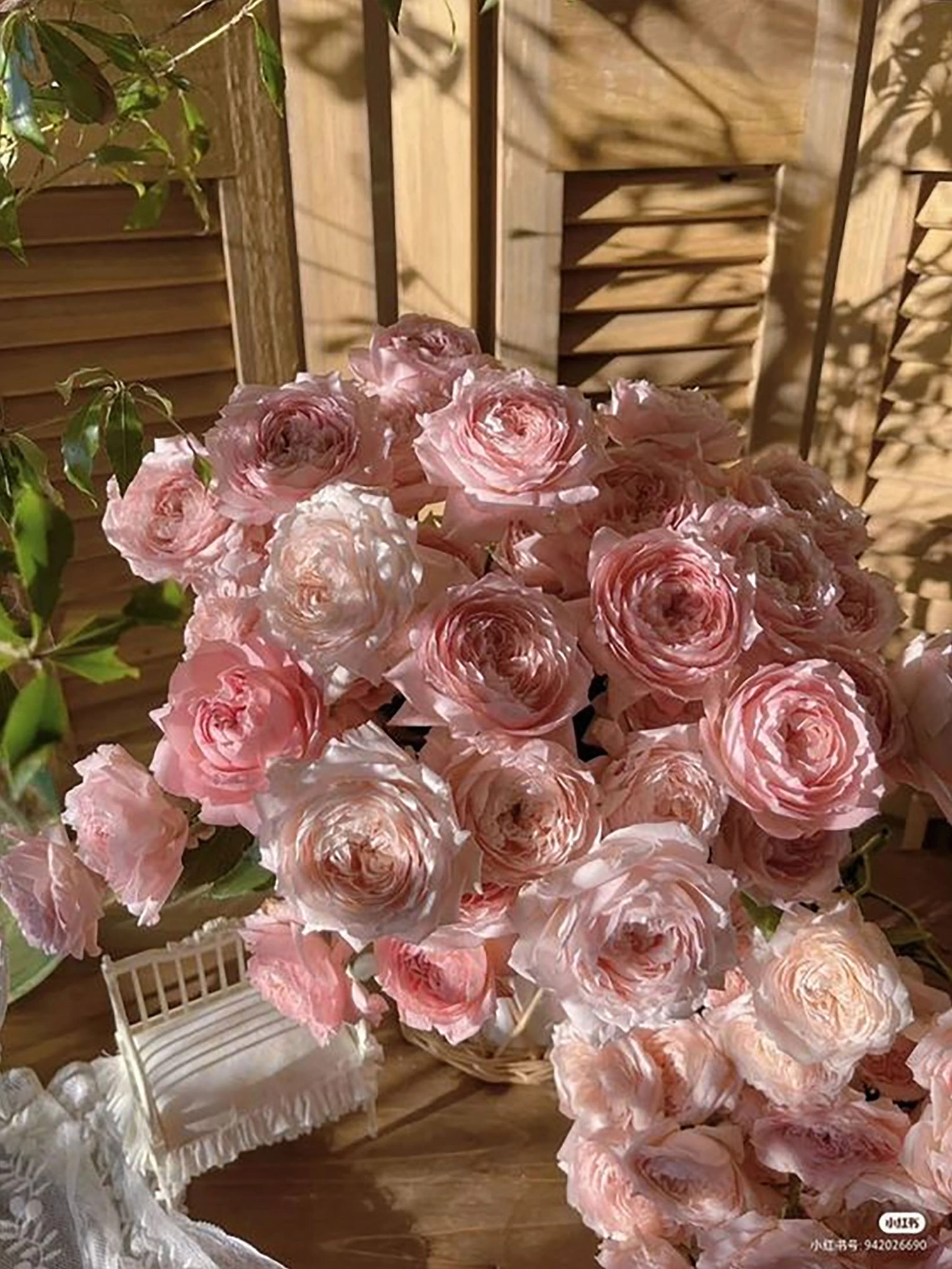 hinh-nen-hoa-mau-don-3