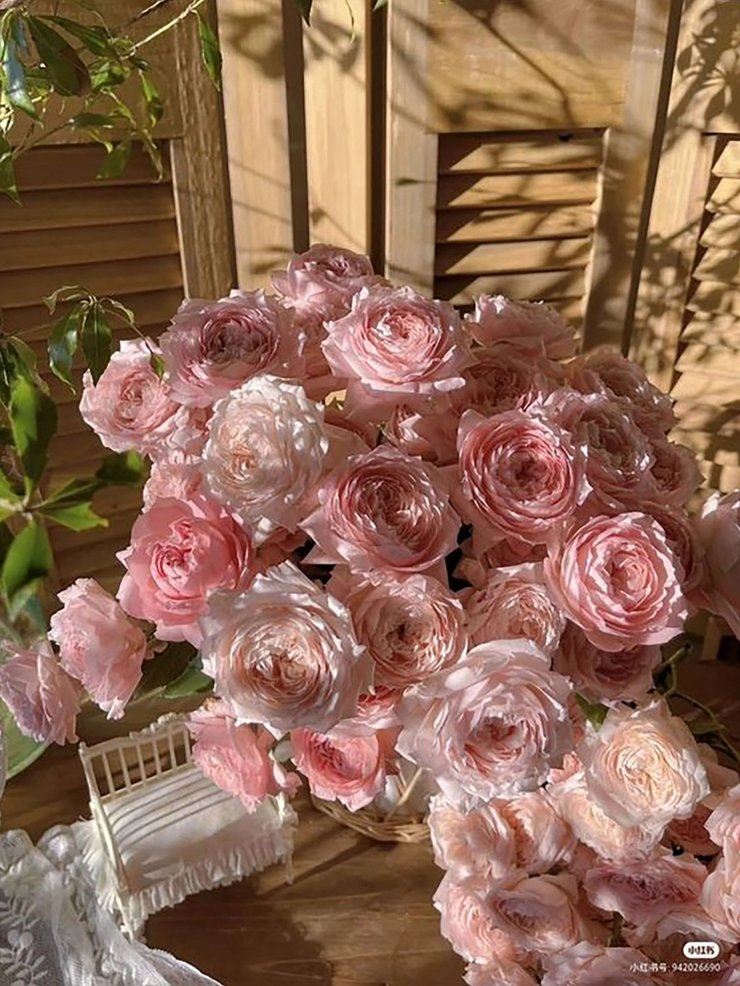 Hình nền hoa mẫu đơn 3 rực rỡ