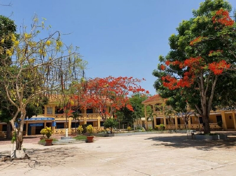 Hình nền hoa phượng nghệ thuật buồn man mác