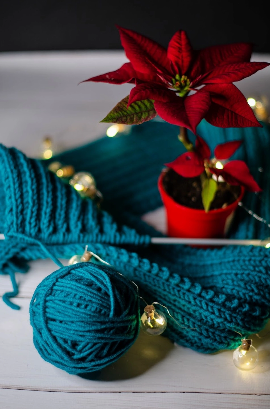 Hình nền hoa trạng nguyên đỏ rực rỡ cho điện thoại