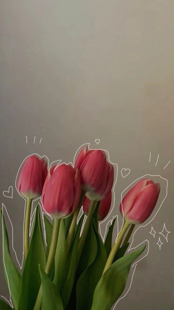 hình nền hoa tulip chill 3