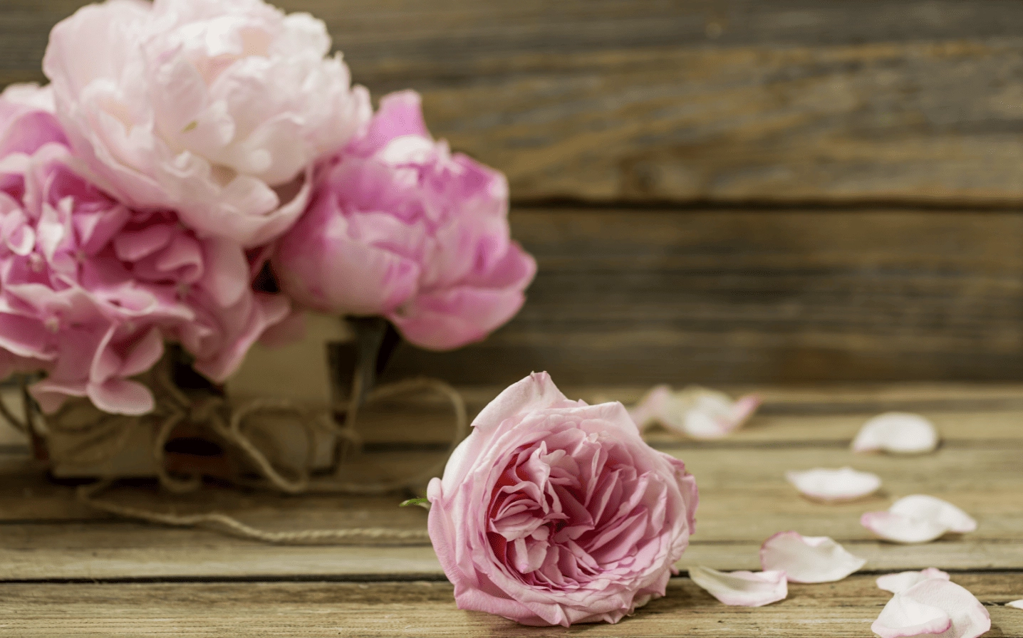 Hình nền mẫu đơn hồng cổ điển