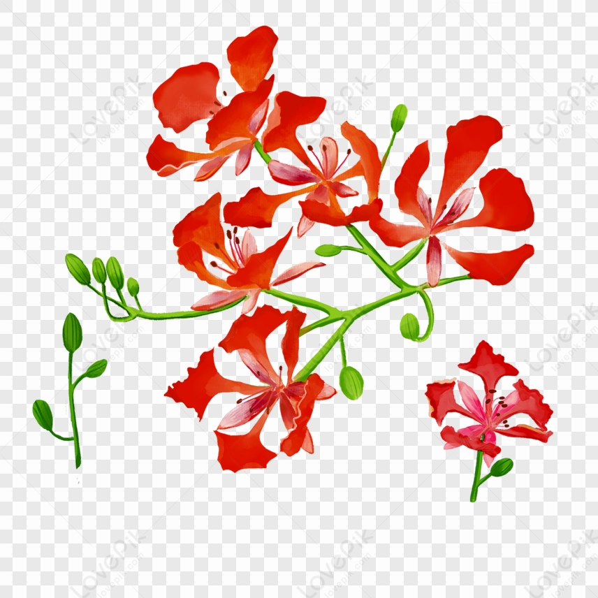 hình nền Powerpoint hoa phượng cho bài thuyết trình