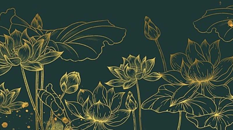 hình nền powerpoint hoa sen