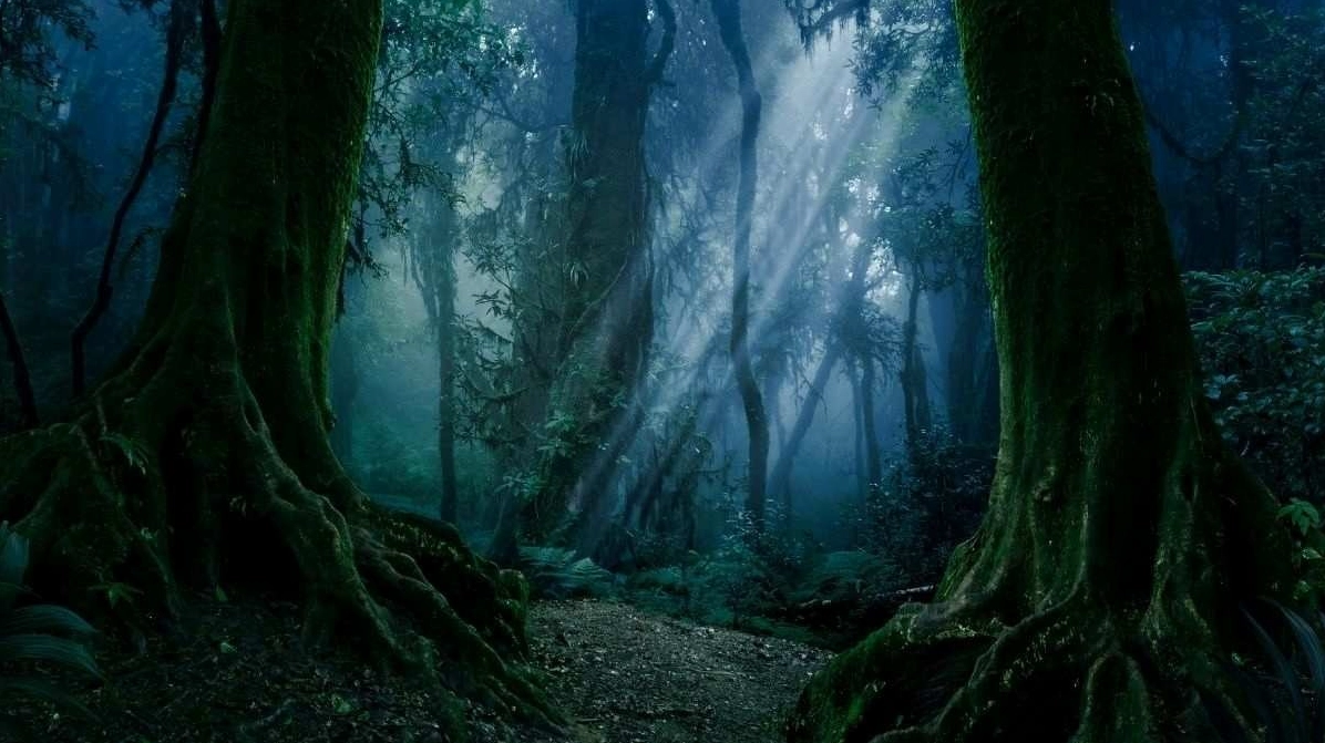 Hình nền tối màu chủ đề thiên nhiên hùng vĩ