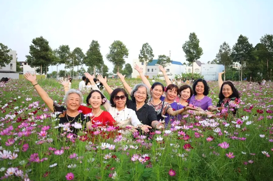 Hoa cánh bướm Cần Thơ mang một vẻ đẹp dịu dàng, thơ mộng | Cánh đồng hoa