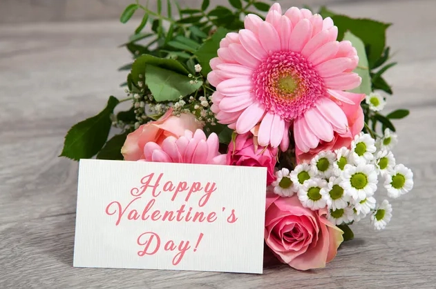 Hoa đồng tiền màu hồng với thiệp chúc mừng Valentine