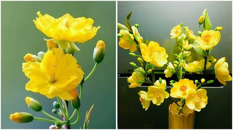 Hoa mai 9 cánh mang ý nghĩa tài lộc dồi dào