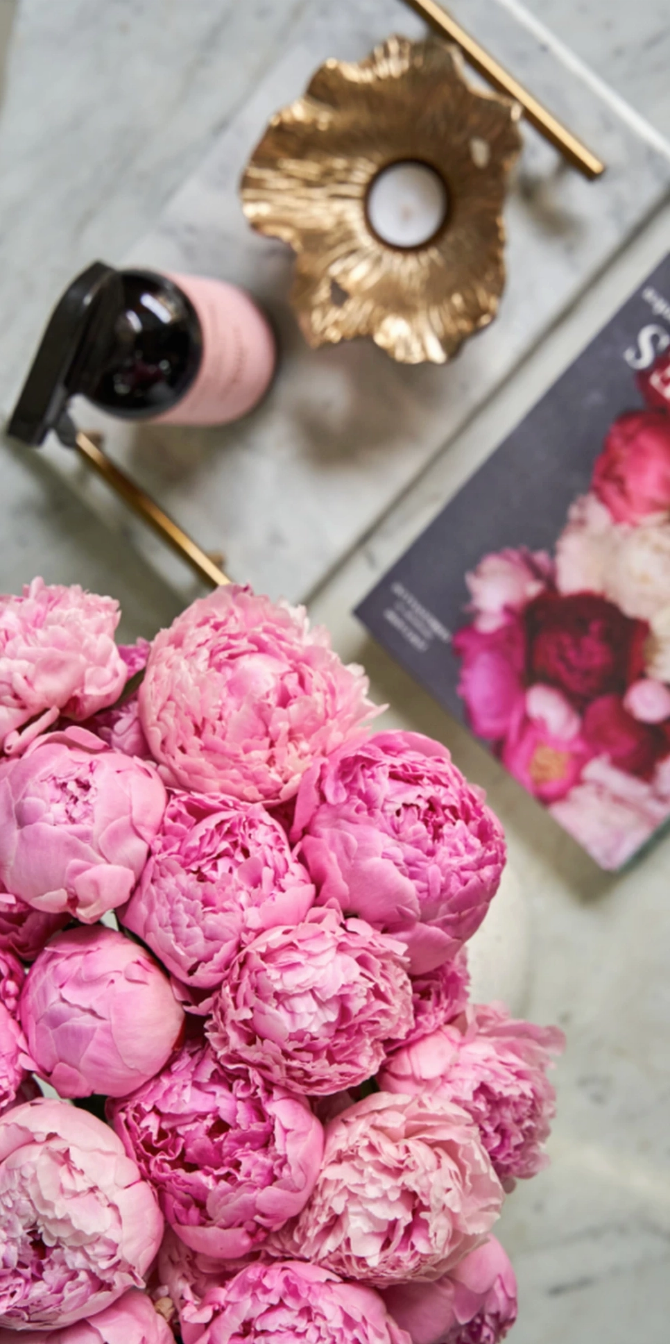 Hoa mẫu đơn nở rộ tuyệt đẹp