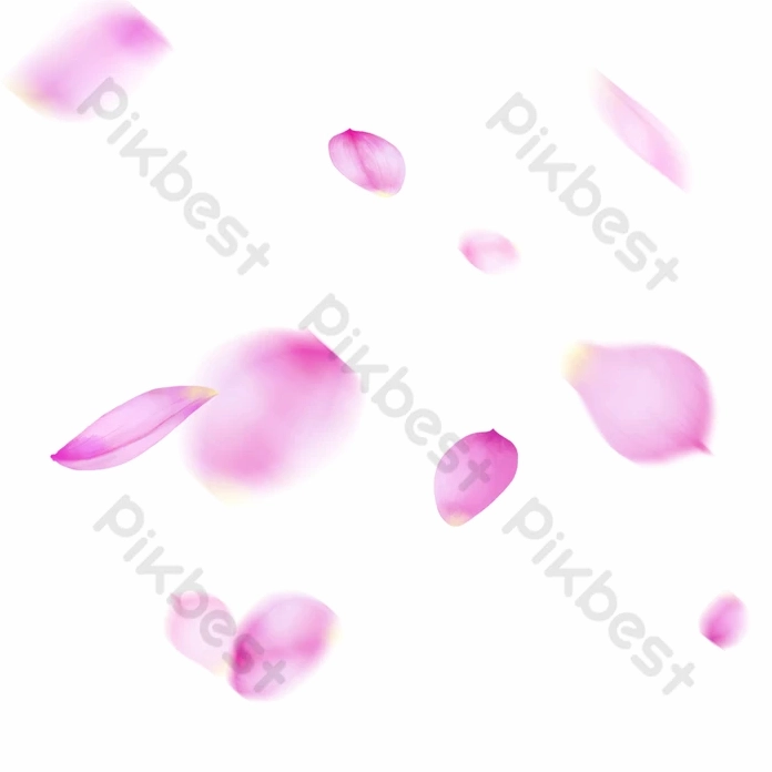 Hoa Sen Hồng biểu tượng của sự kiên nhẫn và sức mạnh