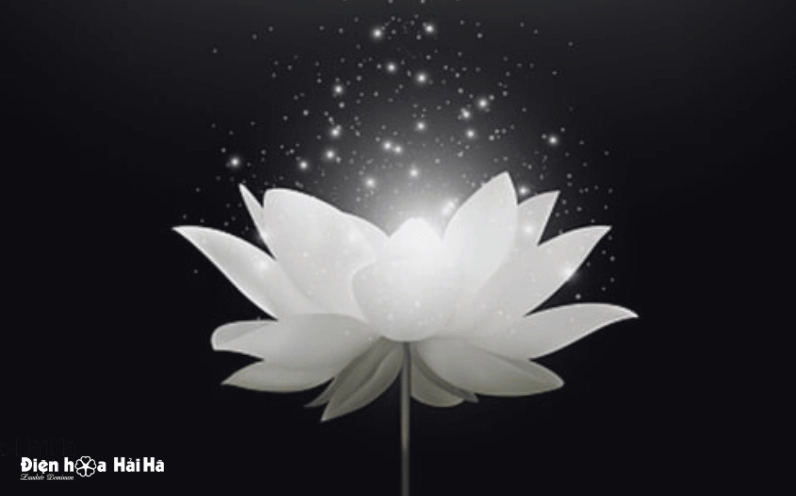 Hoa sen trắng hình đại diện buồn đám tang