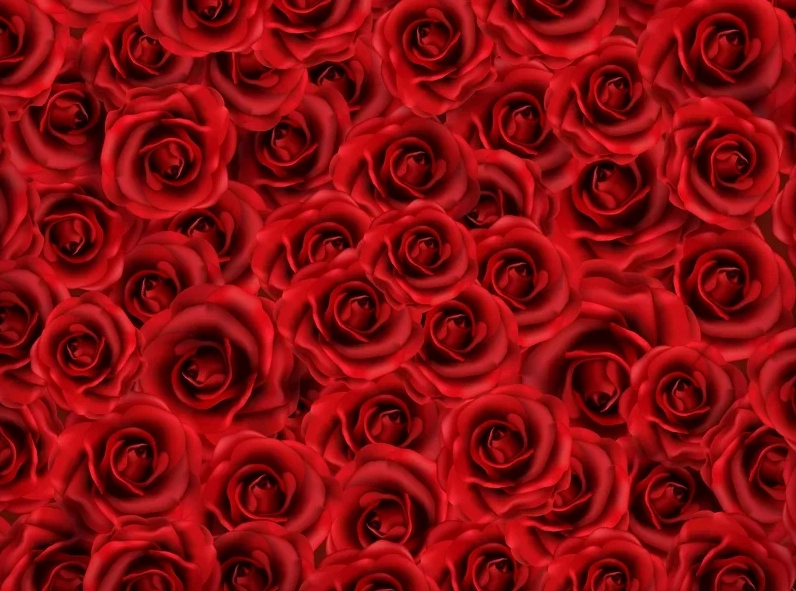 Khám phá background hoa hồng đẹp mang nét lãng mạn tinh tế