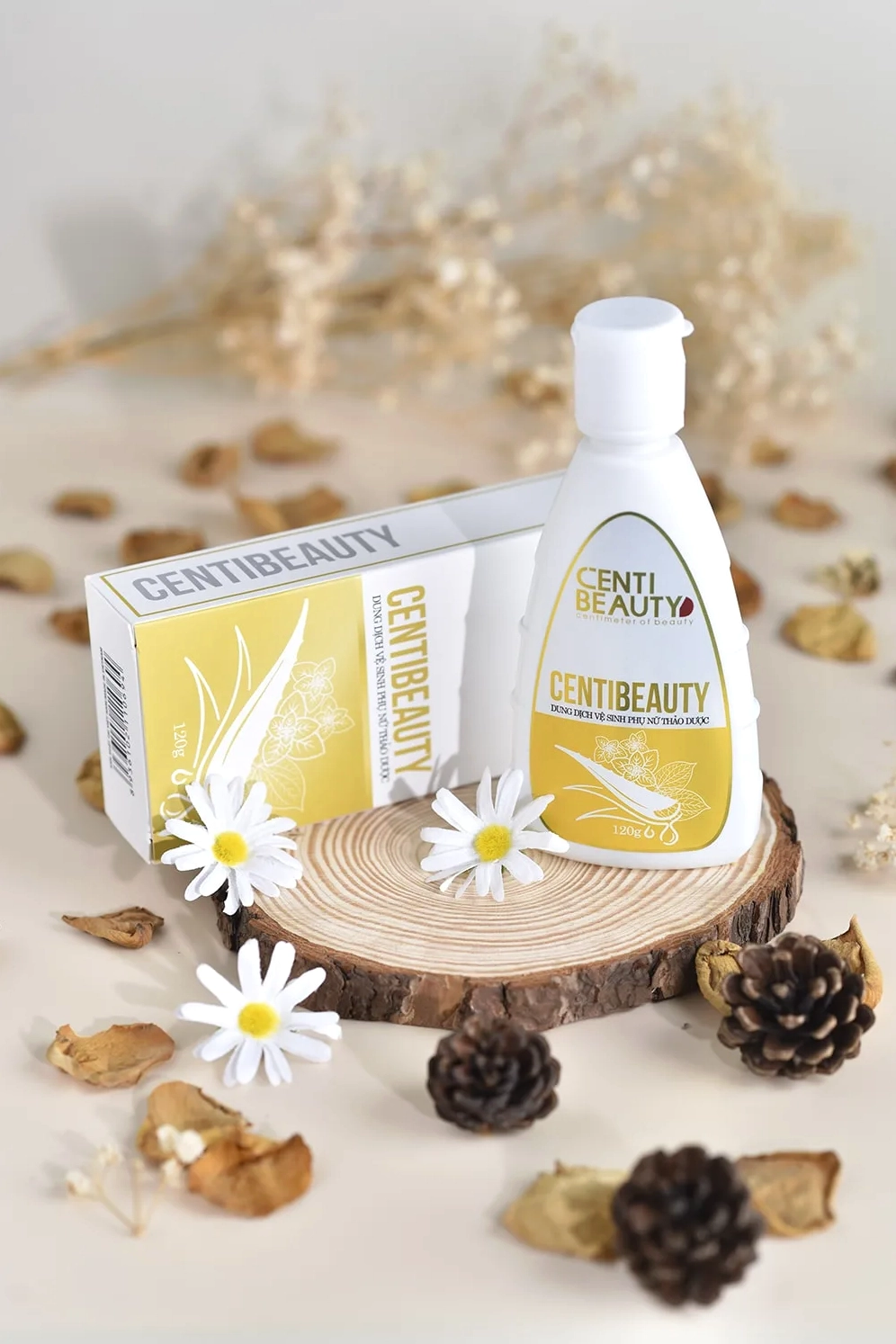 Layout chụp ảnh số 6