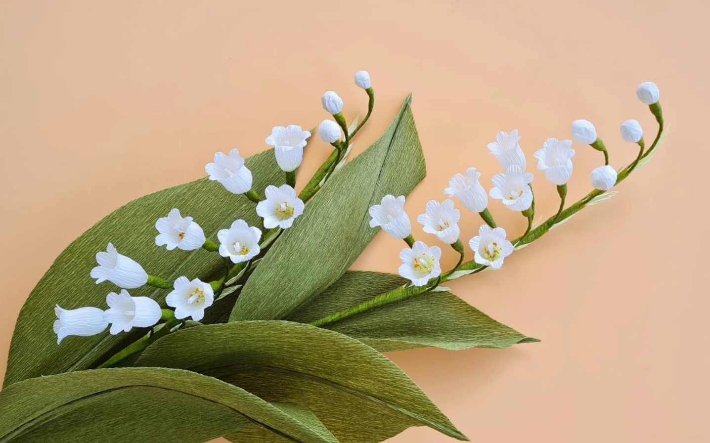 Linh lan tinh khôi nền be