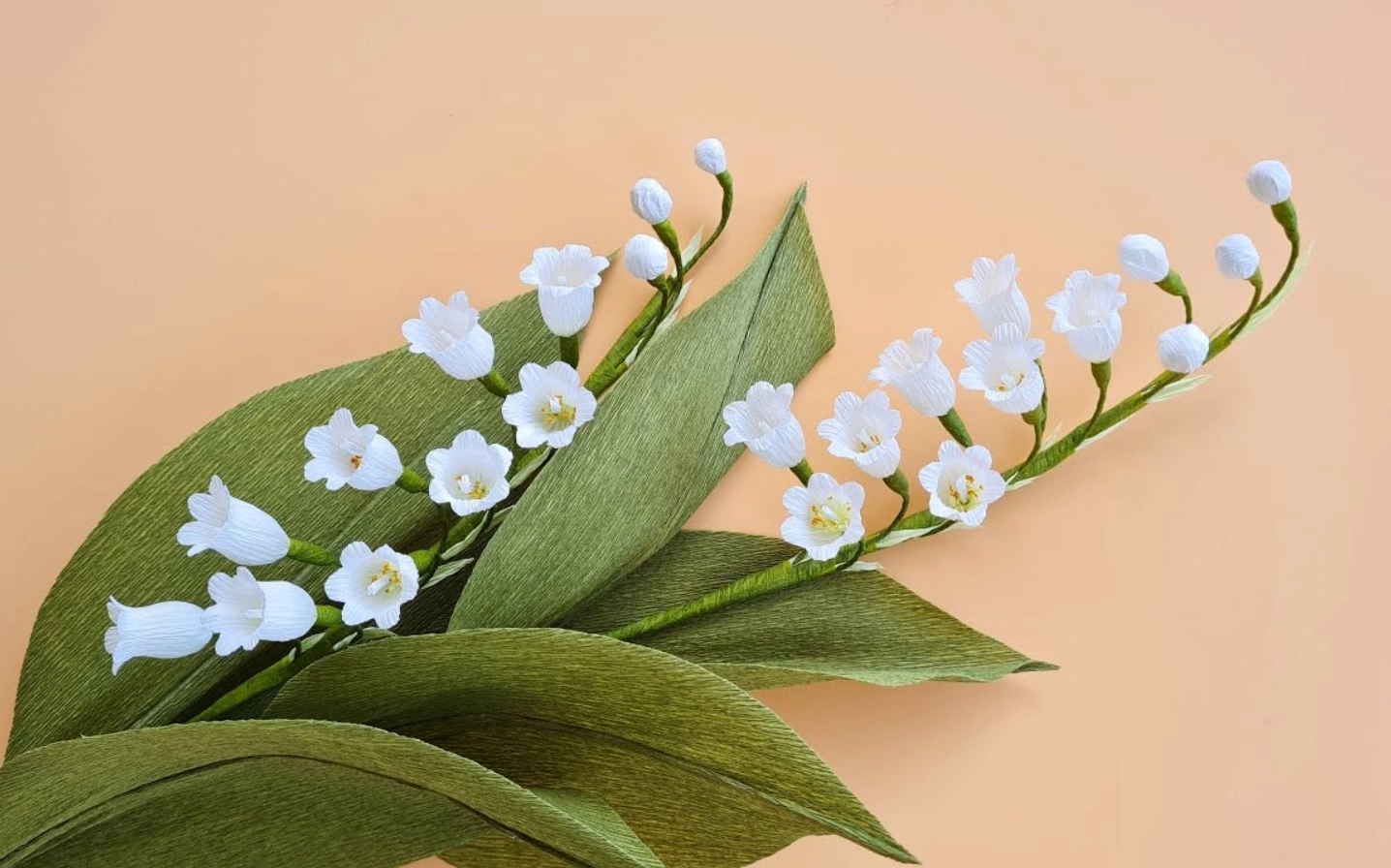 Linh lan tinh khôi nền be