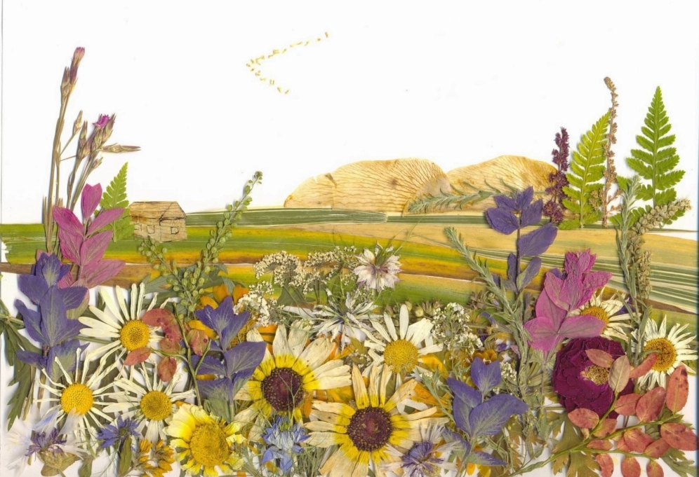 Mang nét đẹp mộc mạc của background hoa khô tự nhiên