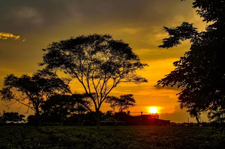 Mặt trời lặn sau núi bầu trời nhuộm tím hồng lãng mạn